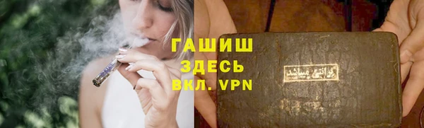гашик Снежногорск