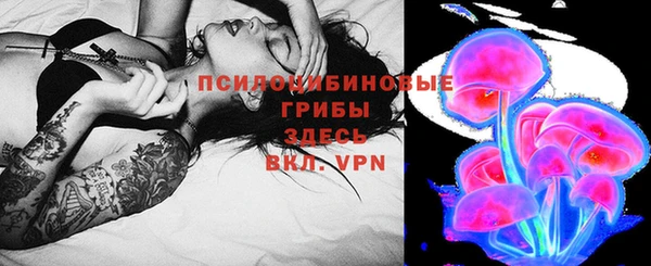 стаф Абаза