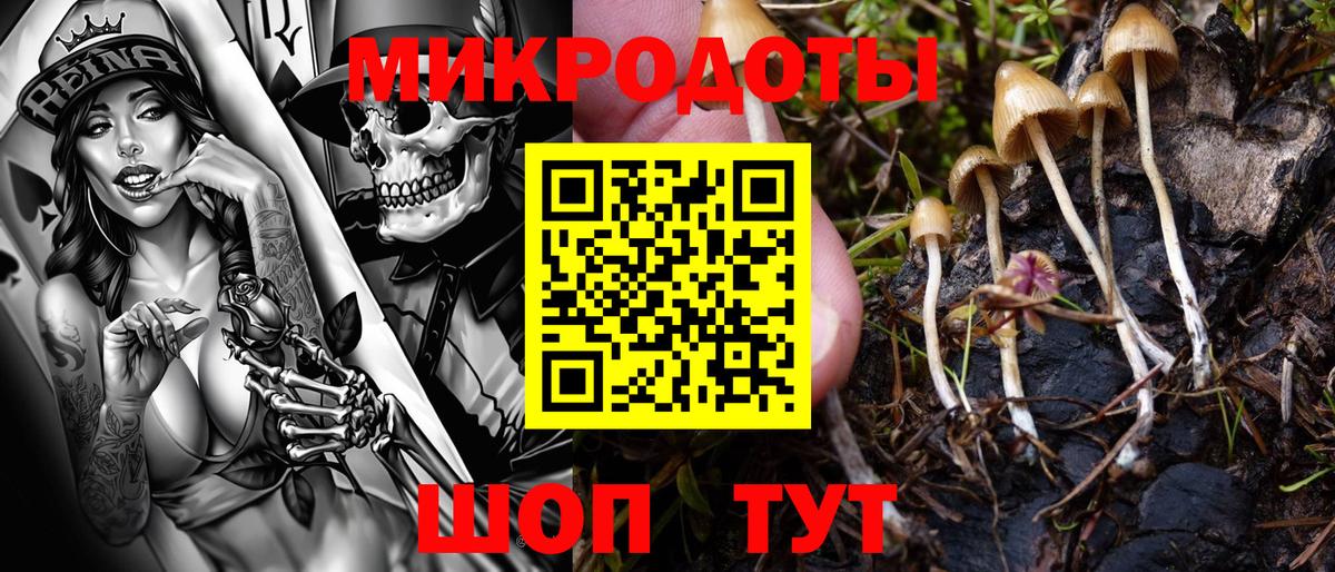Псилоцибиновые грибы MAGIC MUSHROOMS Ишимбай